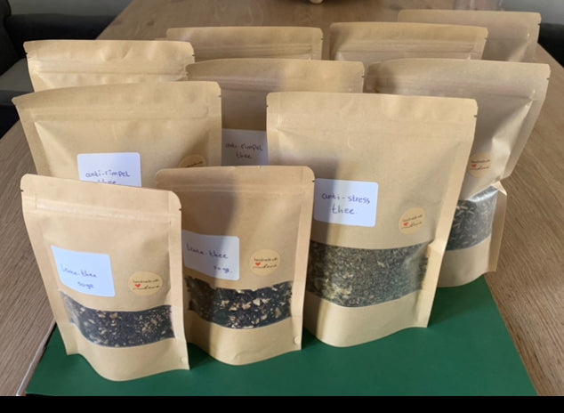 Grote luxe RVS theezeef met handvat