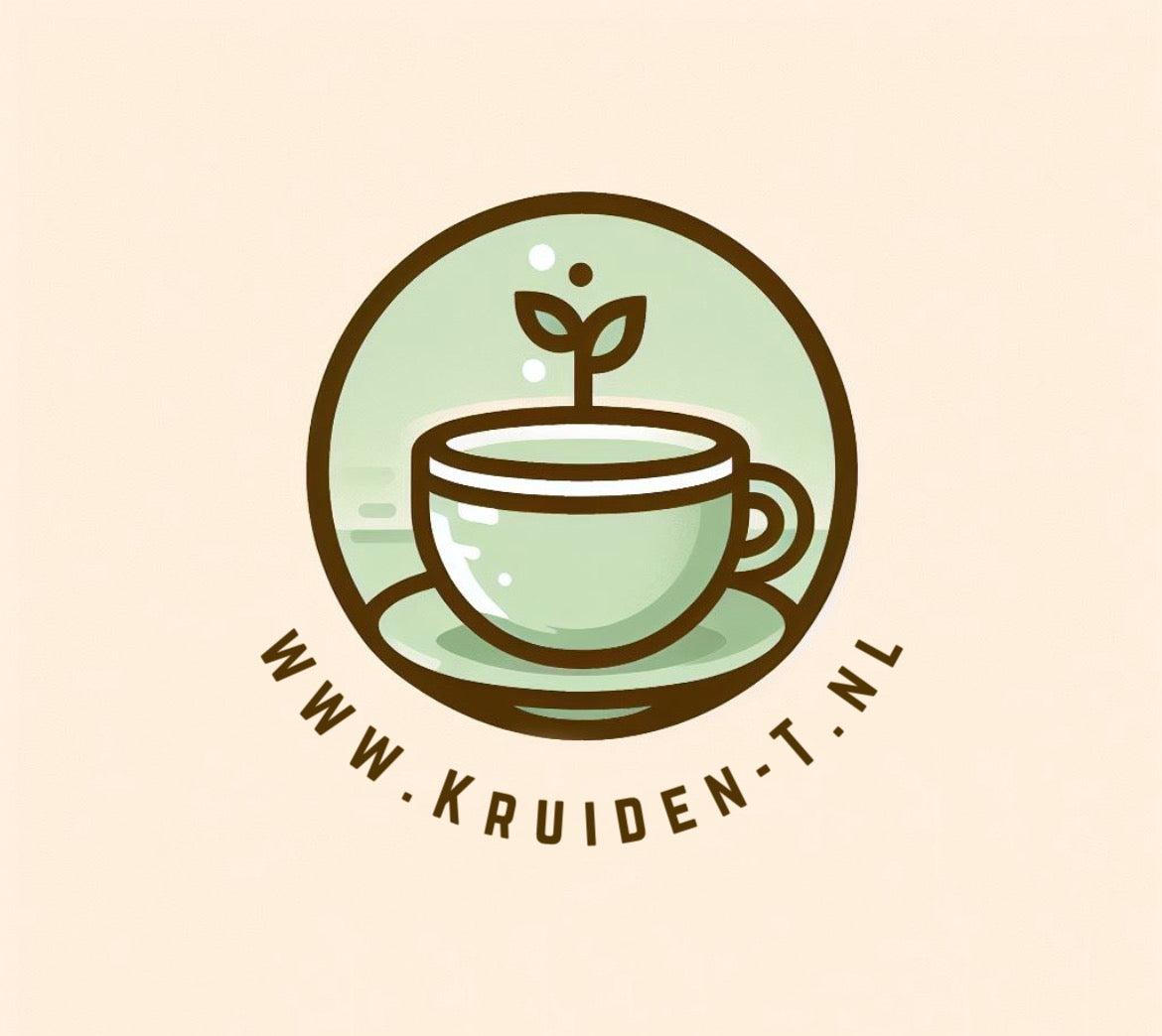 Grote luxe RVS theezeef met handvat