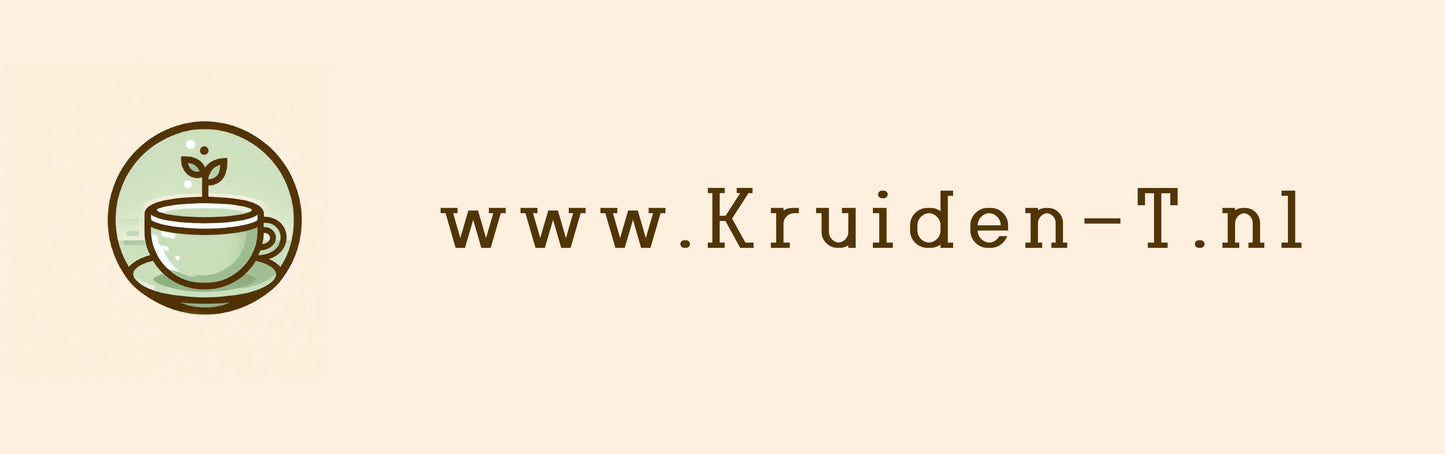 Grote luxe RVS theezeef met handvat